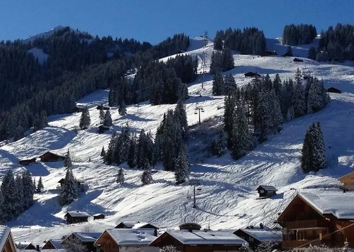 Hotel Butterfly - Three Bedroom Adelboden